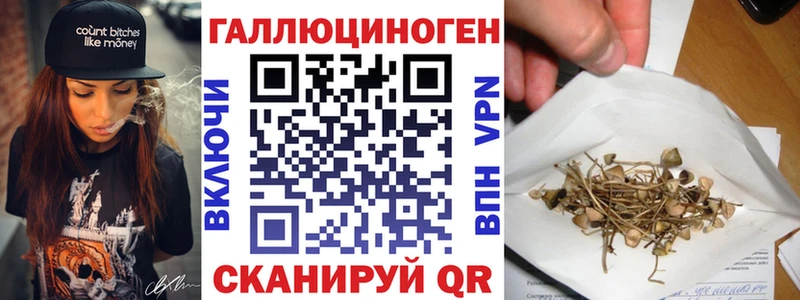 Псилоцибиновые грибы Psilocybe  Купить где  Ступино 